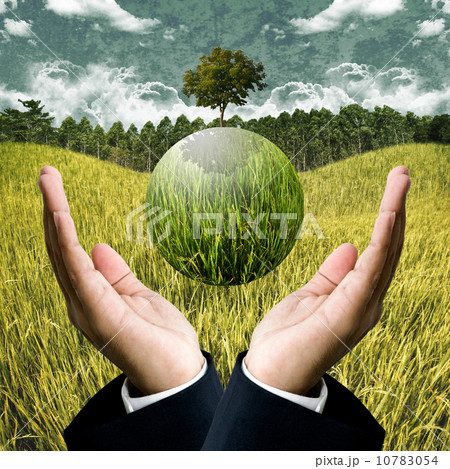 Sustainable agriculture business for save the earth concept Sustainable agriculture business for save the earth concept 10783054