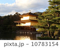 金閣寺 10783154