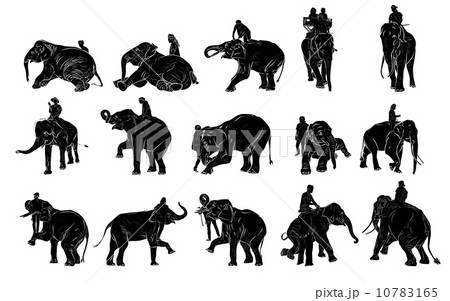 Elephant show and training with mahout 10783165