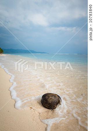 Coconut on the beach 10783840