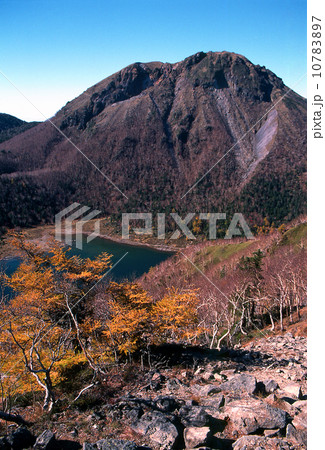 日光白根山 10783897