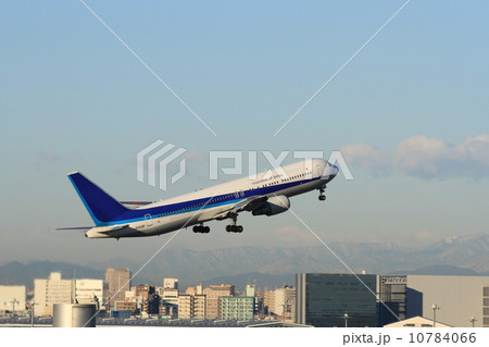 ハミングバードディパーチャー 10784066