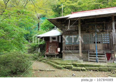 大山登山 10784089