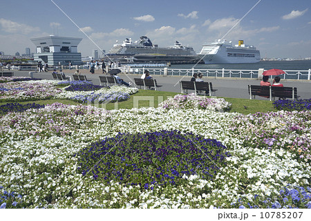 陽春の山下公園 陽春の山下公園 10785207