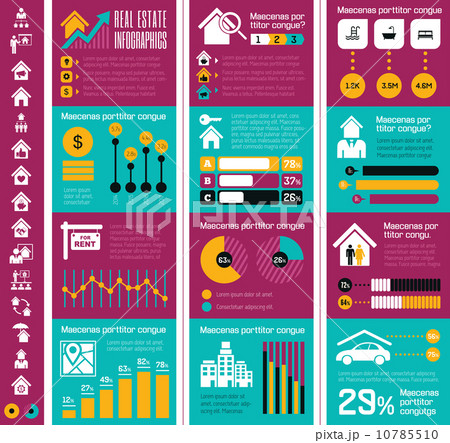Real Estate Infographics. Real Estate Infographics. 10785510
