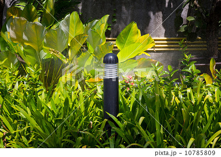 outdoot light outdoot light 10785809