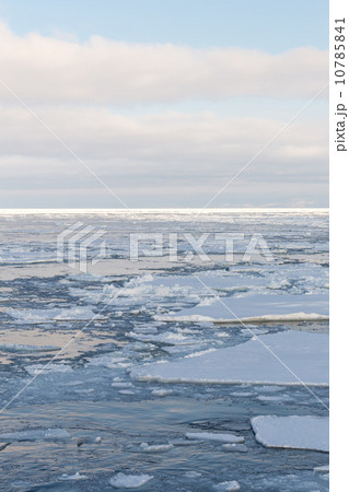 Drift ice, Sea of Okhotsk, Japan 10785841
