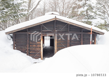 snow covered log cabin 10786533