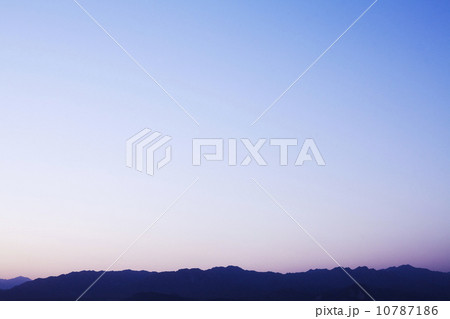 10787186