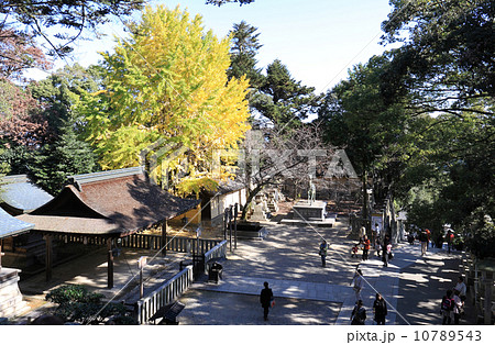 秋の金刀比羅宮「祓戸社」と参道 秋の金刀比羅宮「祓戸社」と参道 10789543