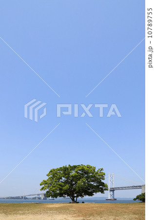 香川県坂出市「沙弥島」のナカンダ浜（製塩土器出土）と瀬戸大橋 10789755