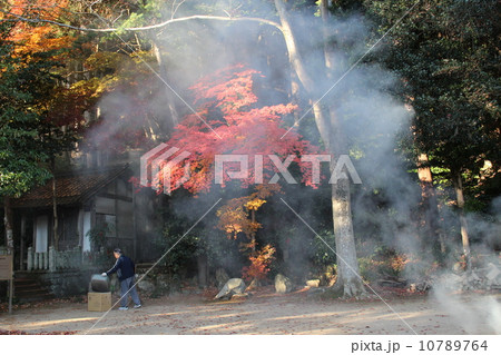 落ち葉焚き 落ち葉焚き 10789764