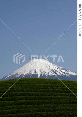 富士山 富士山 10789766