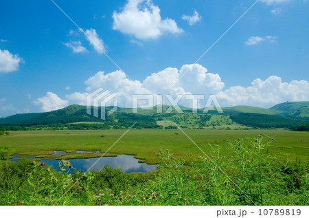八島ヶ原湿原 八島ヶ原湿原 10789819