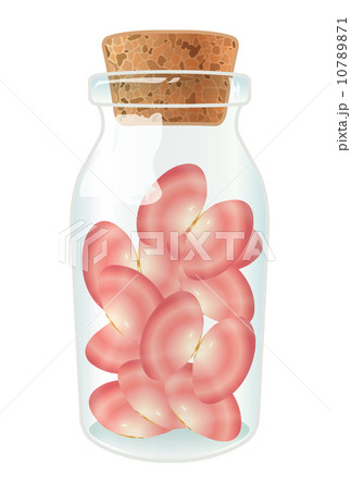 桜貝 10789871