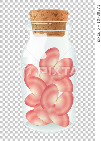 桜貝 10789871