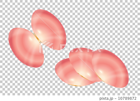 Sakuragishi 10789872