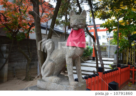 関守稲荷神社･拝殿脇の「キツネの石像」（兵庫県神戸市須磨区関守町） 10791860