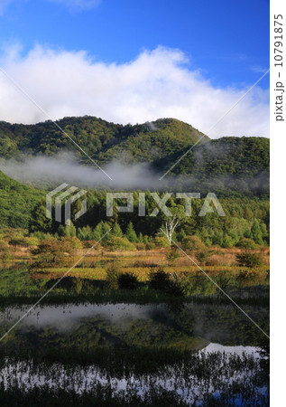 小田代湖#03 10791875