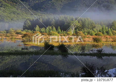 小田代湖#01 10791877