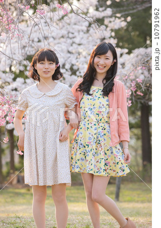桜の木の下で春を楽しむ若い2人の女性 桜の木の下で春を楽しむ若い2人の女性 10791962