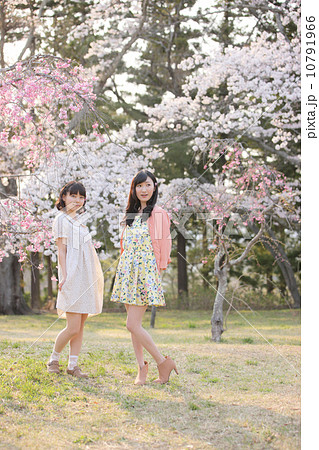 桜の木の下で春を楽しむ若い2人の女性 10791966