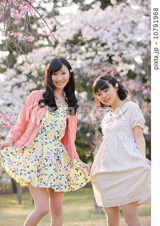 桜の木の下で春を楽しむ若い2人の女性 10791968