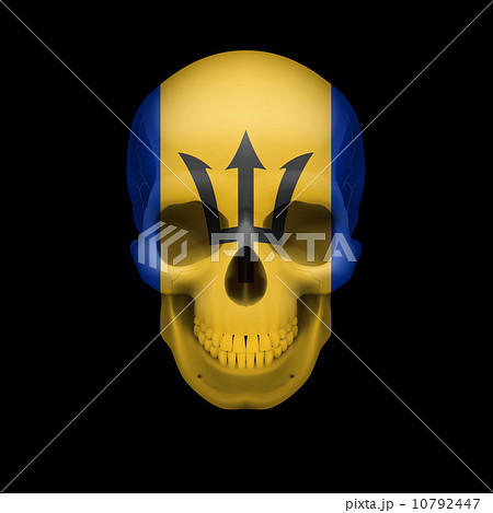 Barbadian flag skull 10792447