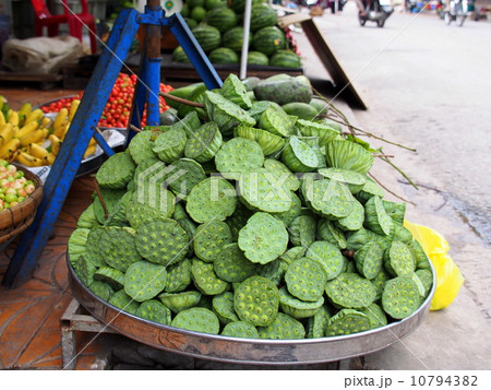 ハスの実 ハスの実 10794382