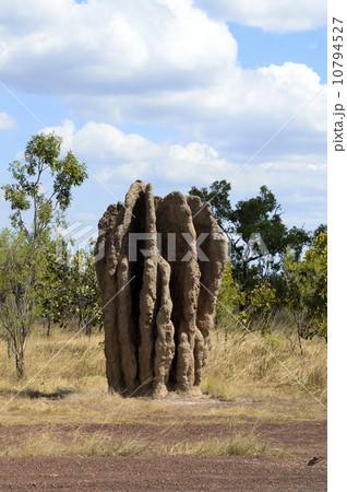 90755　アーネムハイウェー　蟻塚 10794527