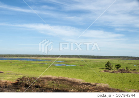 90775　カカドゥ国立公園　ウヴィルロック 10794544