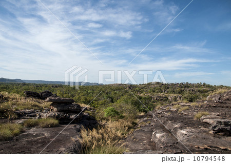 90779　カカドゥ国立公園　ウヴィルロック 10794548