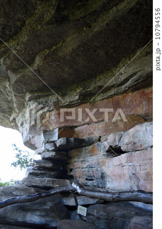 90799　カカドゥ国立公園　ウビルロック 10794556