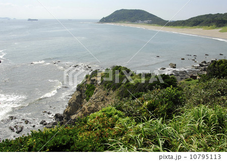 夏の伊良湖岬 10795113