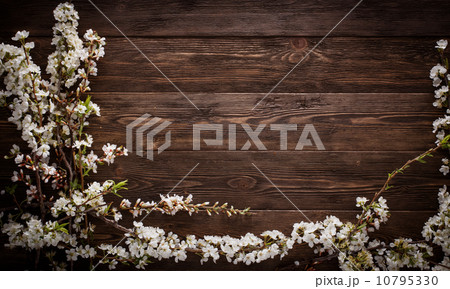 Flowers on wood texture background 10795330