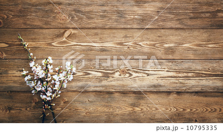 Flowers on wood texture background 10795335