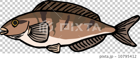 縞ホッケ 縞ホッケ 10795412