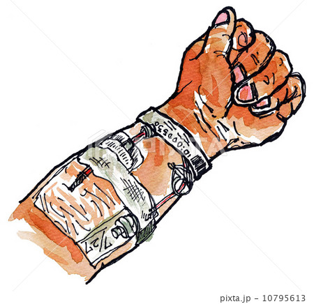 arm13731pix2a arm13731pix2a 10795613