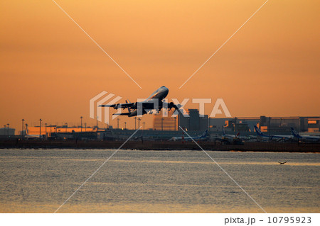 朝焼けのジャンボ 10795923