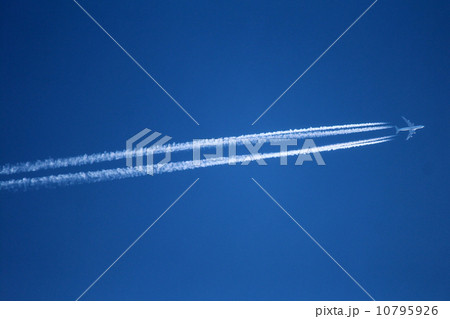 コントレイル 10795926