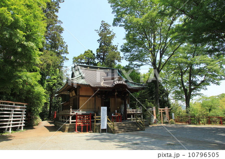 白笹稲荷神社 白笹稲荷神社 10796505