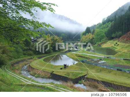 雨の田園風景 10796506