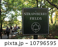 ストロベリーフィールズ 10796595