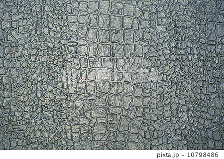 texture of crocodile skin 10798486