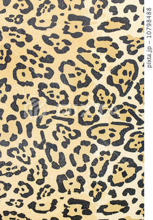 leopard skin texture 10798488