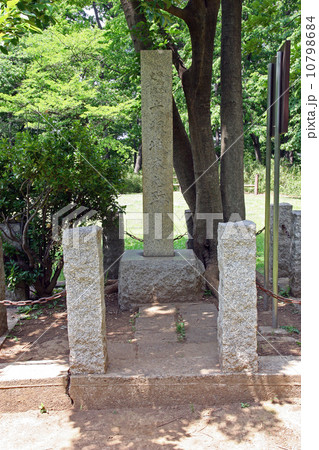 赤塚城址 赤塚城址 10798684