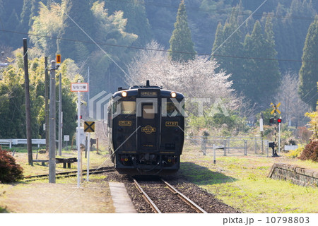 はやとの風 10798803