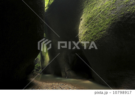 緑鮮やかな由布川峡谷緑鮮やかな由布川峡谷 10798917