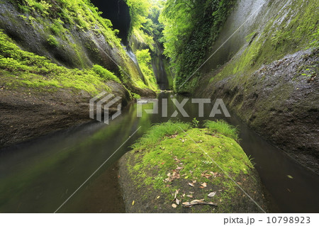 新緑鮮やかな由布川峡谷 10798923