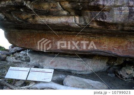 90803 カカドゥ国立公園 ウビルロック 90803 カカドゥ国立公園 ウビルロック 10799023